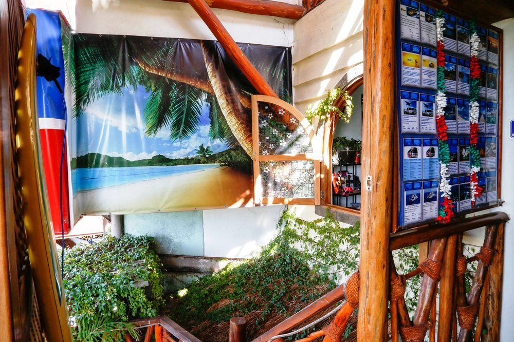Hostel Natura カンクン エクステリア 写真