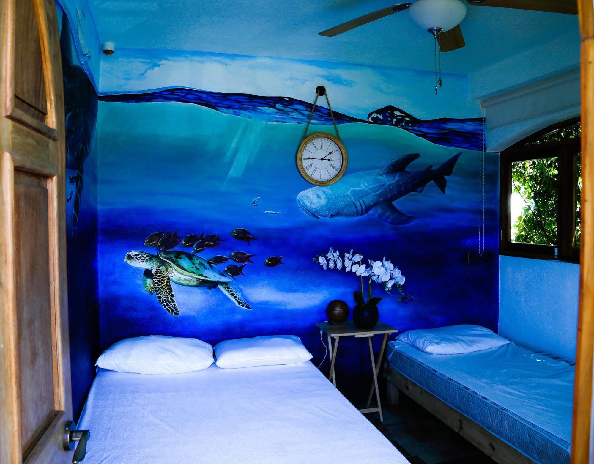 Hostel Natura カンクン エクステリア 写真